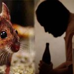 mouse police
