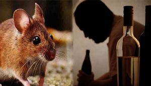 mouse police