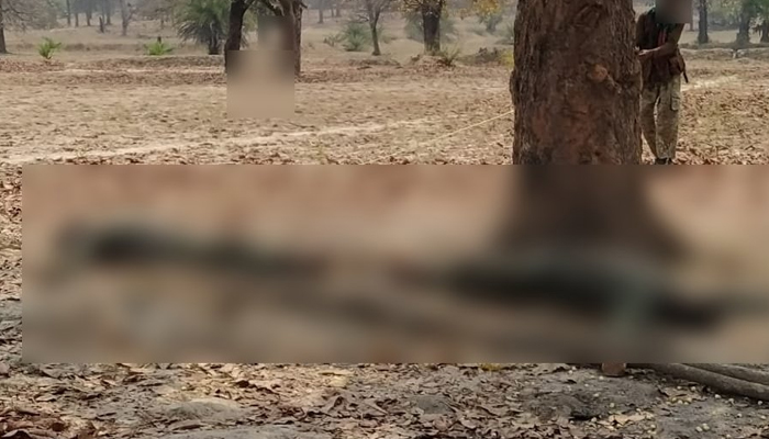 chhattisgarh