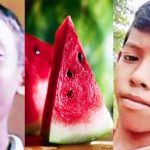 watermelon