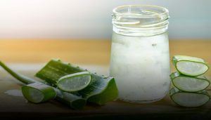 aloe vera
