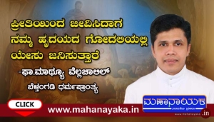 fr mathew vellachalil