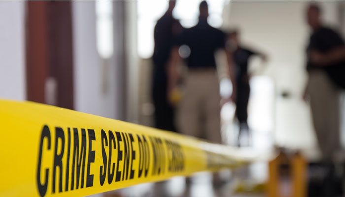 crime news