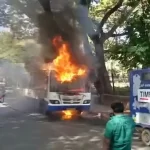 bus