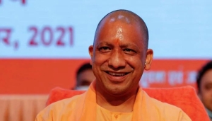 yogi