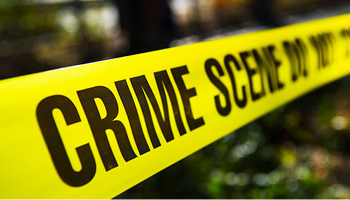crime 1