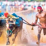 kambala