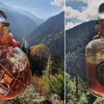 centauri honey