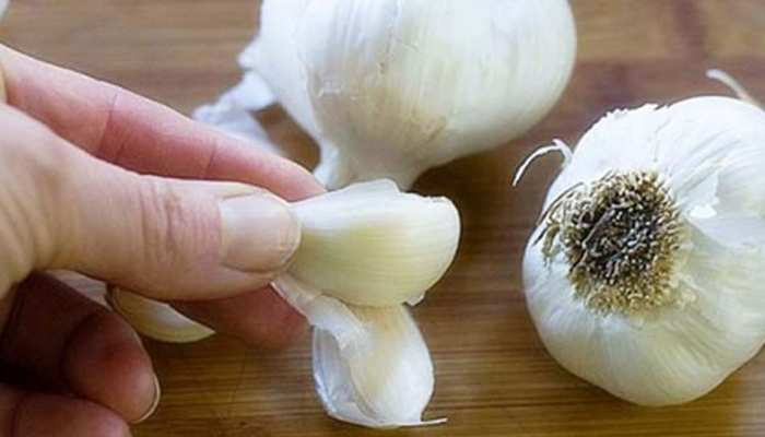 garlic