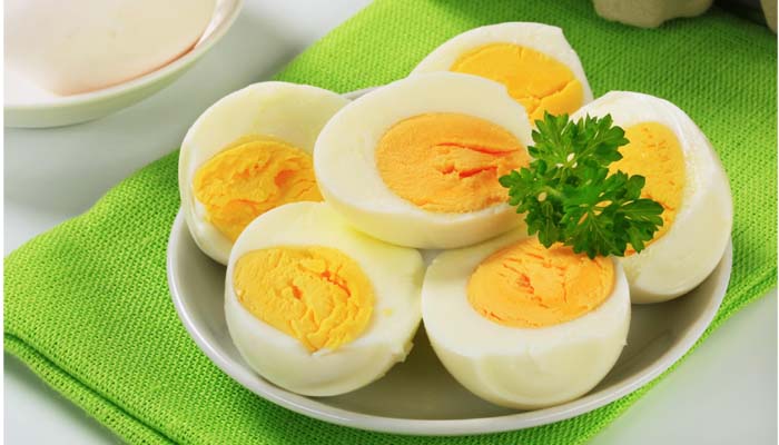 egg
