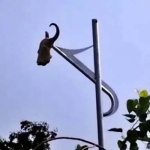 belagavi