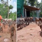 katte sakanike