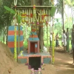 samadhi