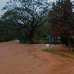 subramanya