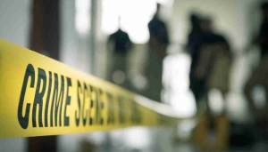 crime news