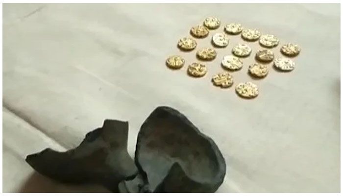 gold coins