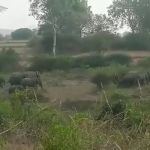 chamarajanagara