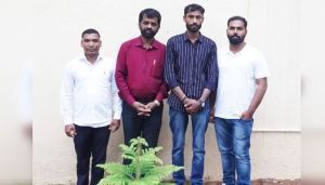 airplane butterfly works