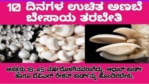 mushroom cultivation