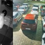 car theft