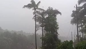 rain