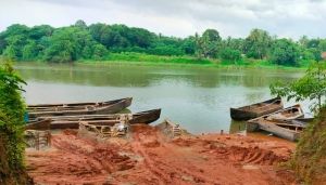 mangalore crime news