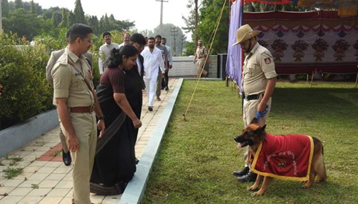 police dog