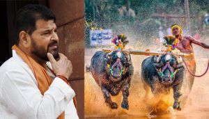 kambala