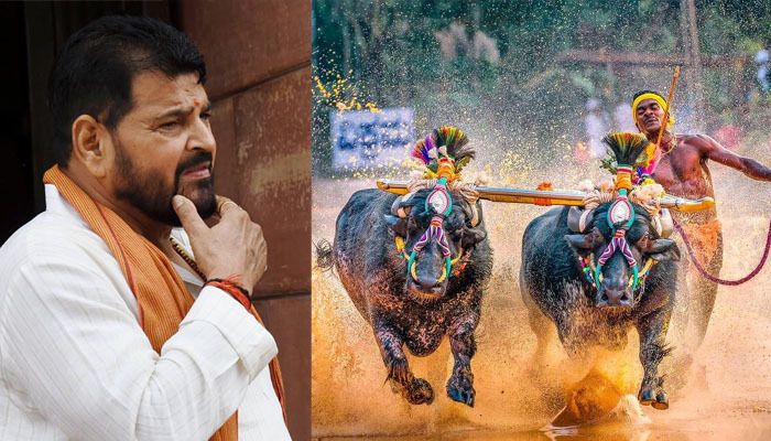 kambala