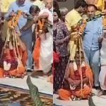 pejavar shree