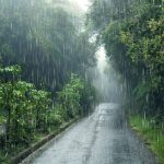 rain