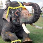 arjuna