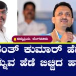 ananth kumar hegade