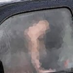 sex in car news