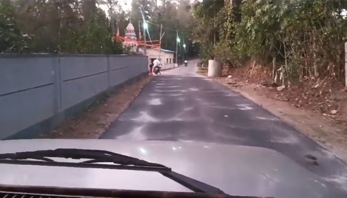 beetamma gang elephant