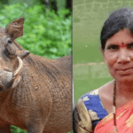 bidar news