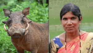 bidar news