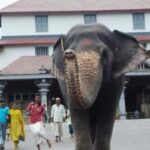 latha
