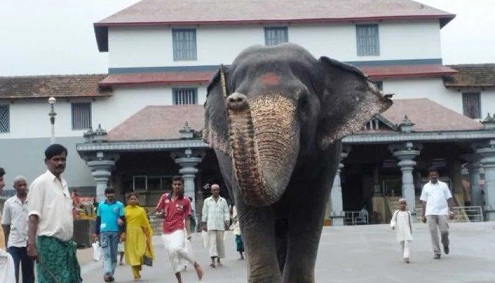 latha