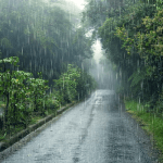 rain