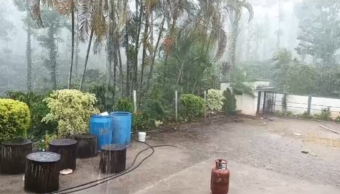 rain