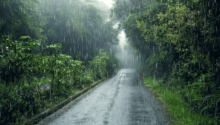 rain