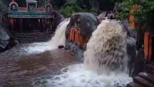 kallattigari waterfall