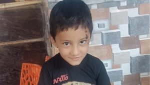 shobin