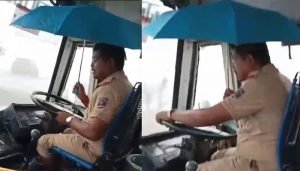 umbrella