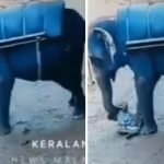balakrishnan neeleswaram