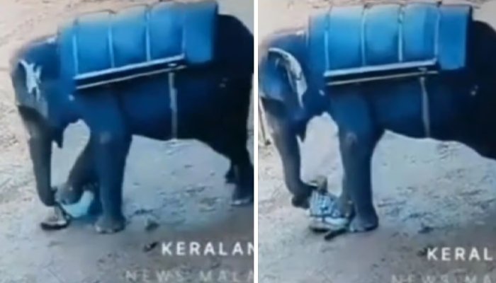 balakrishnan neeleswaram