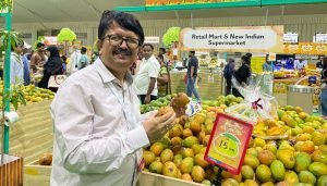 mango fair