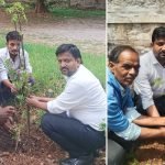 world environment day