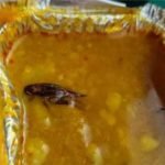 cockroach in food
